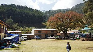 Archivo:Tatamachaca6