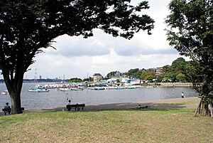 Archivo:Teganuma Park in Ciba Japan