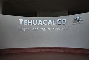 Archivo:Tehuacalco58
