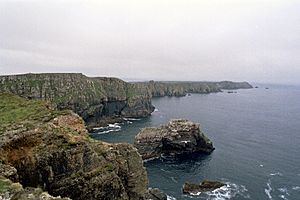 Archivo:Tory Island Cliffs 2005 08 10