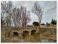 Villovieco 034