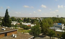 Vista de la ciudad de colonia