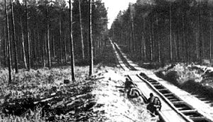 Archivo:Volkhov Front Road