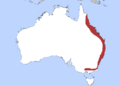 White-headed Pigeon map