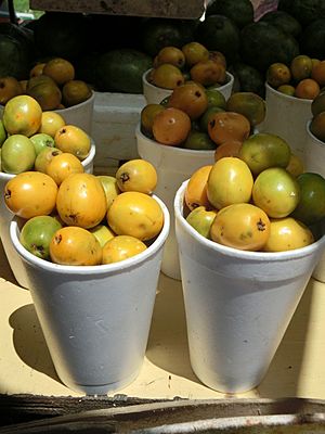 Archivo:Yellow Mombin (Spondias mombin) fruit