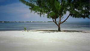 Archivo:Útila Public Beach 2