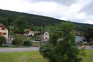 Archivo:2011-08-27 Cormoret (Foto Dietrich Michael Weidmann) 020