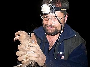Archivo:Alex Chionetti holding Tayos bird