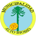 Alto Biobío escudo