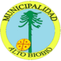 Alto Biobío escudo.png