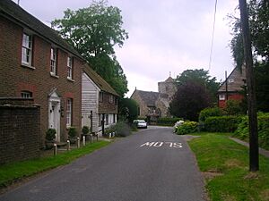Archivo:Ardingly