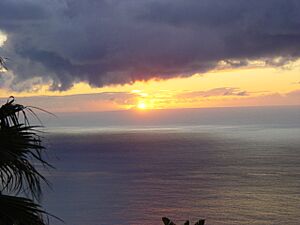 Archivo:Atardecer 4