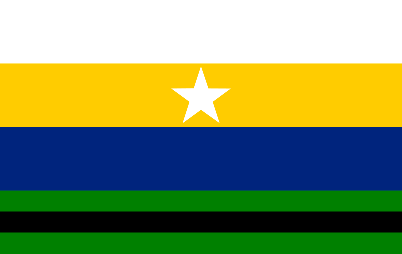 Bandera de Páez (Apure)