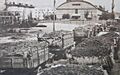 Bodega CAVIC en 1970 (San Juan-Argentina)