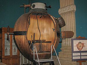 Archivo:Bushnell Turtle