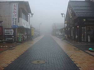 Archivo:Calle con niebla, Japón