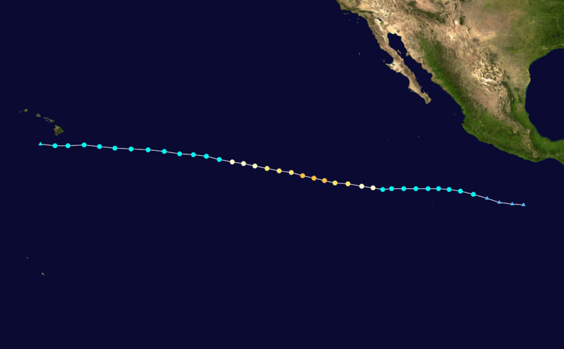 Calvin 2023 track