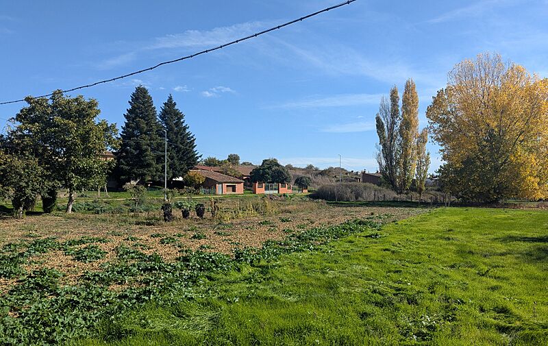 Calzada del Coto, huertas