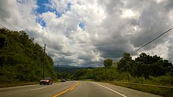 Carretera PR-149, Manatí, Puerto Rico (2).jpg