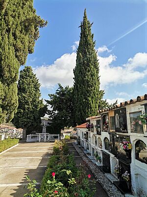 Archivo:Cementerio Cardeña