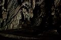 Cuevas del Guacharo