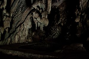 Archivo:Cuevas del Guacharo