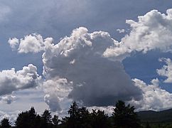Developing cumulus congetus cloud 01