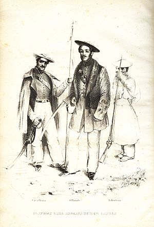 Archivo:Ejército carlista - Magués