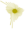 Emblem of the Bolivarian Alliance for the Americas.png