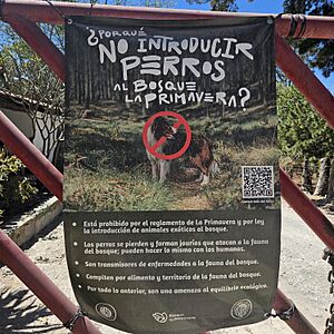 Archivo:Especies invasoras
