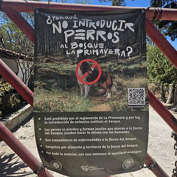 Especies invasoras