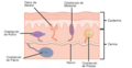 Figure 36 02 02 esp