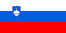 Flag of Slovenia.svg