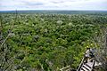 Flickr - ggallice - View from La Danta, El Mirador