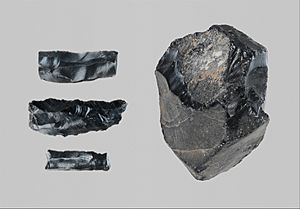 Archivo:Group of 3 worked obsidian fragments and a raw obsidian lump MET DP322103