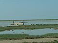Guadalquivir-PescaAngulaCamaron-Trebujena-P1060496
