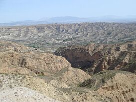 Hoya de Guadix 1.JPG