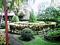 Jardin del Café Chinandega