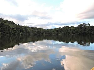 Archivo:Lago Chalalan