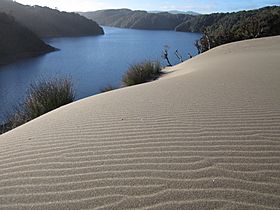 Laguna Colun.JPG