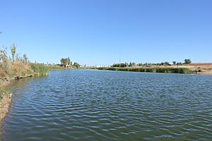 Archivo:Laguna Grande, Manganeses de la Lampreana