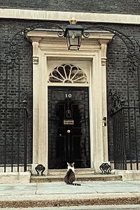 Archivo:Larry the cat waiting to be let into 10 Downing St