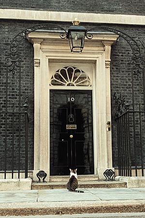 Archivo:Larry the cat waiting to be let into 10 Downing St