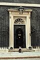 Larry the cat waiting to be let into 10 Downing St