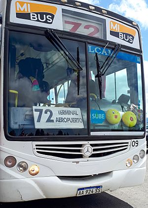 Archivo:Mi Bus Bariloche - Linea 72