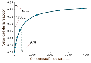 Archivo:Michaelis-Menten saturation curve of an enzyme reaction-es