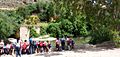 Molino del Algarrobo - ribera del río Guadaira