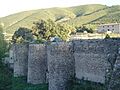 Muro-embalse-bosquet