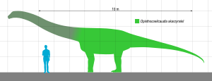 Archivo:Nemegtosaurus Size