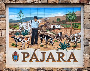Archivo:Place-name sign Pájara